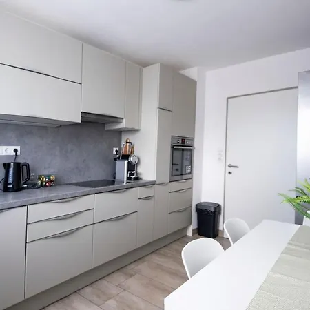 75m2 Designer Close To Bregenz Appartement